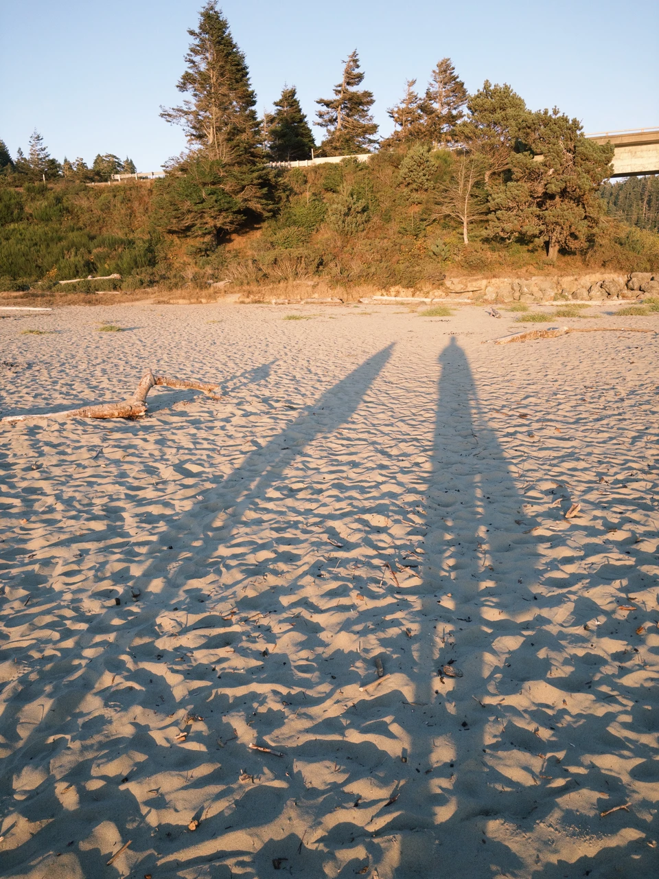 The low sun stretching our shadows across the sand