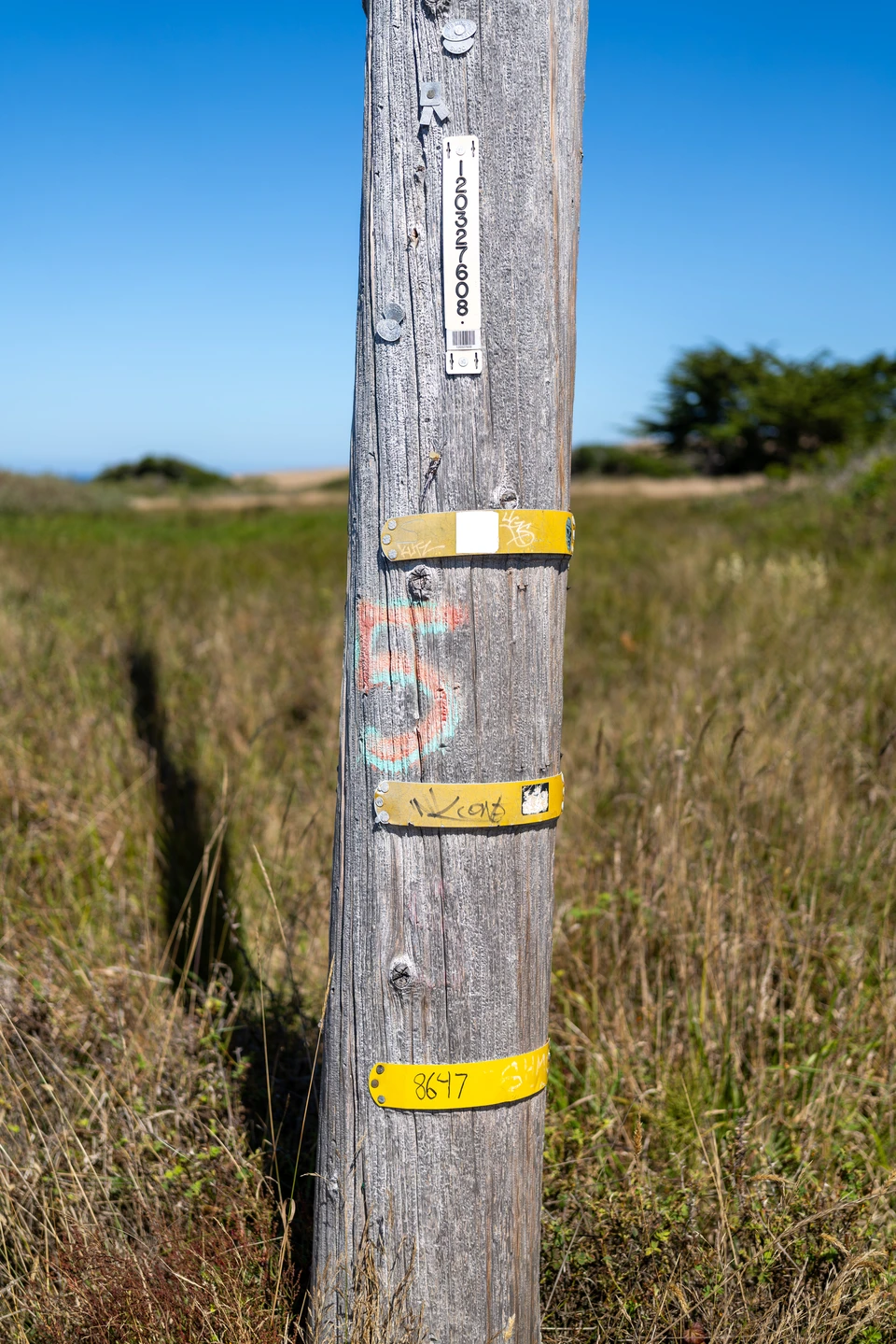 A marker post in the grass
