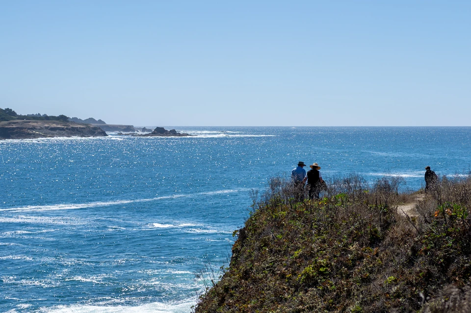 Two figures at the edge, watching the sea