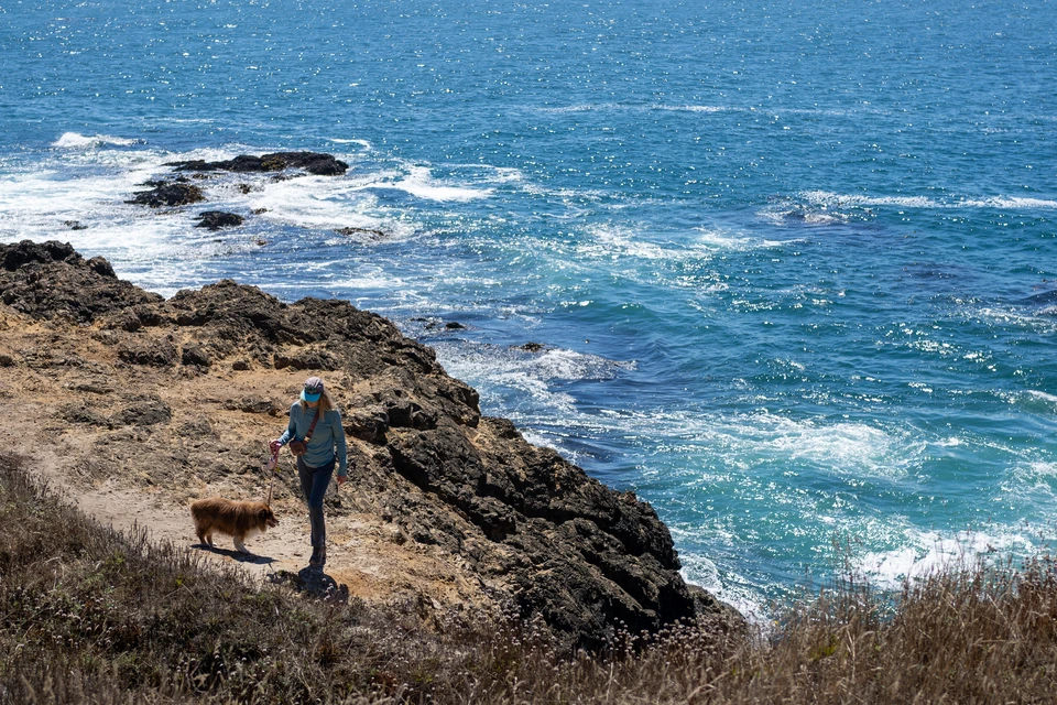 Someone walking a dog along the bluff