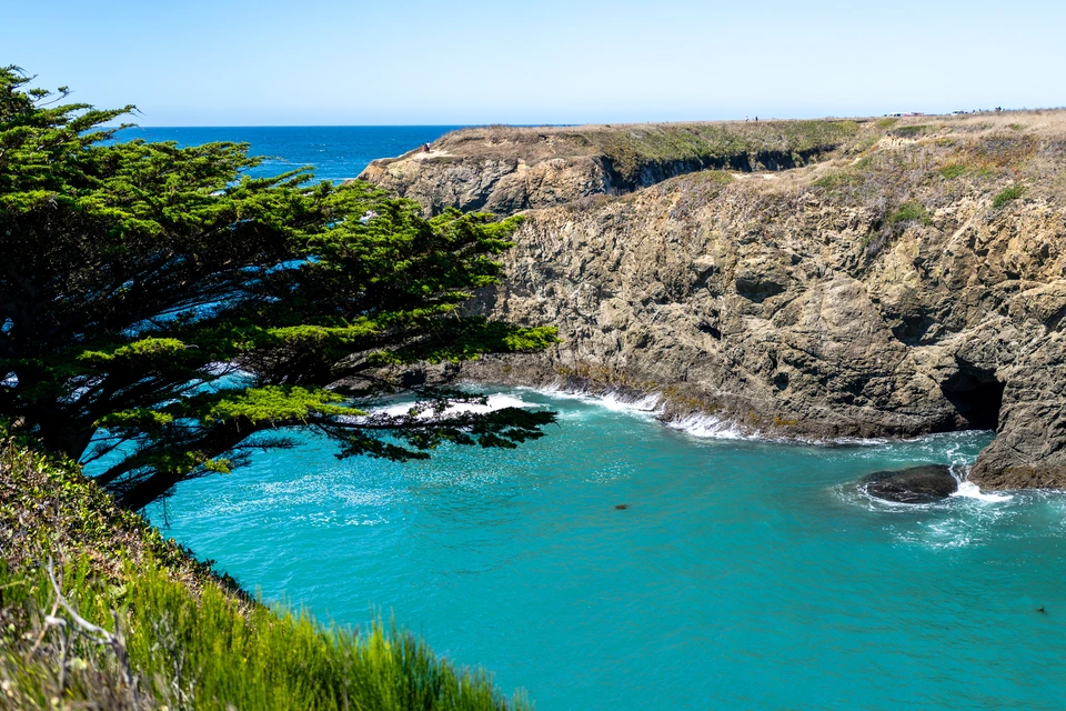The turquoise cove below the cypress