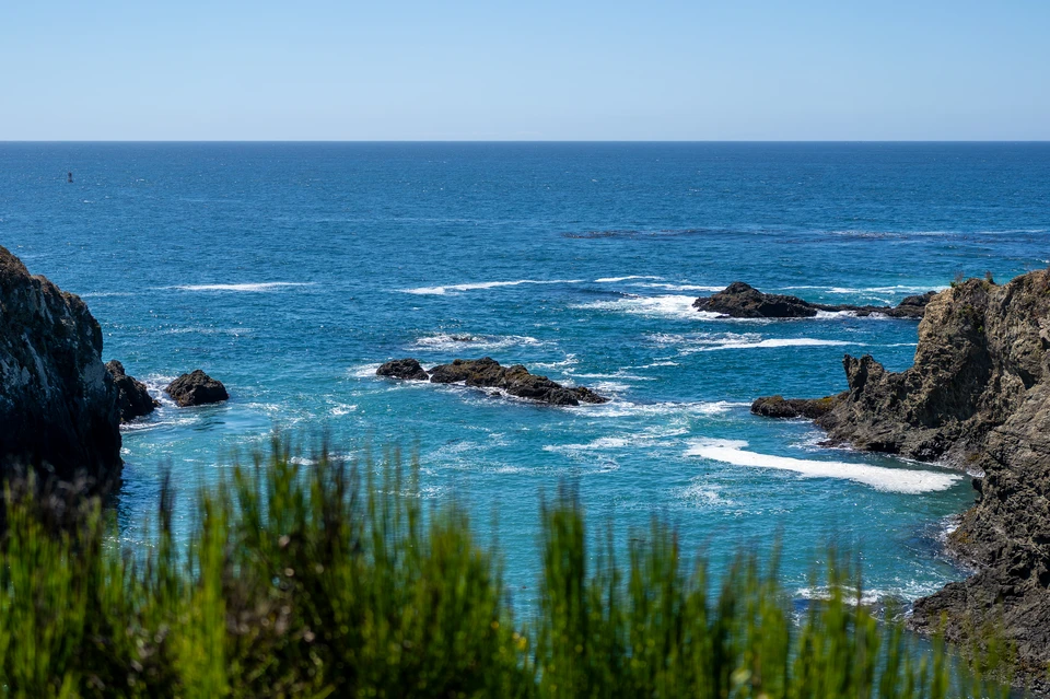 Rocks and sea behind the scrub