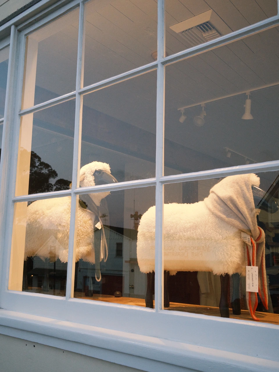 Two sheep figures in a shop window